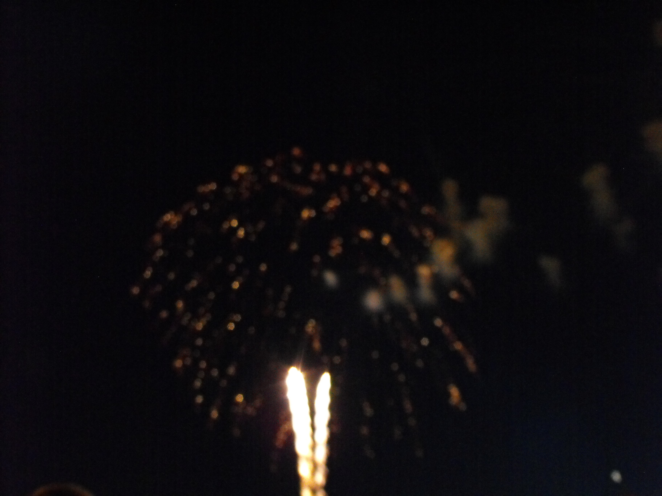 ./2010/Fourth of July/4th July Fireworks Wilm 0047.JPG